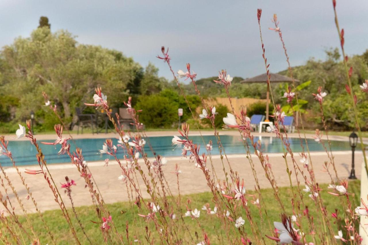 Villa Adonis Halikounas Zewnętrze zdjęcie